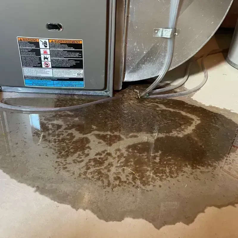 Appliance Leak Cleanup in Fairview Heights, IL